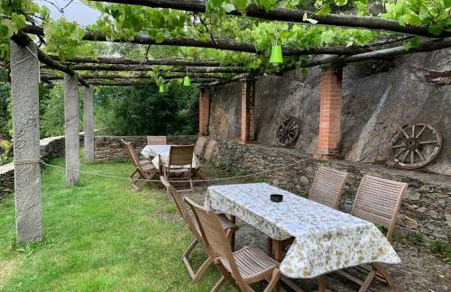 Il Ciliegio Selvatico - Foto 3