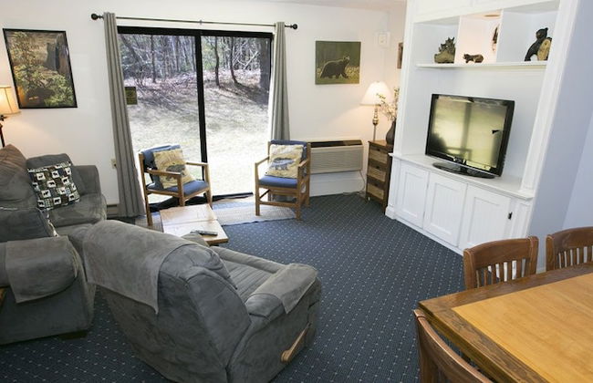 Black Bear Lodge - Photo 21