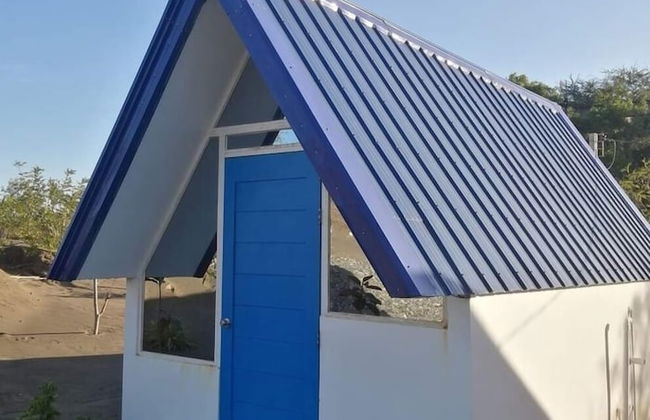 Live N Love - Photo 2