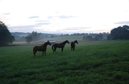 Villa Maud - Foto 31