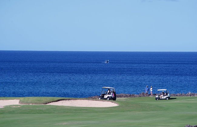 Halii Kai 9g 3 Bedroom Condo by RedAwning - Photo 21