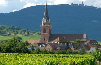 Cocon de caractère au cœur des vignes Alsaciennes - Foto 39