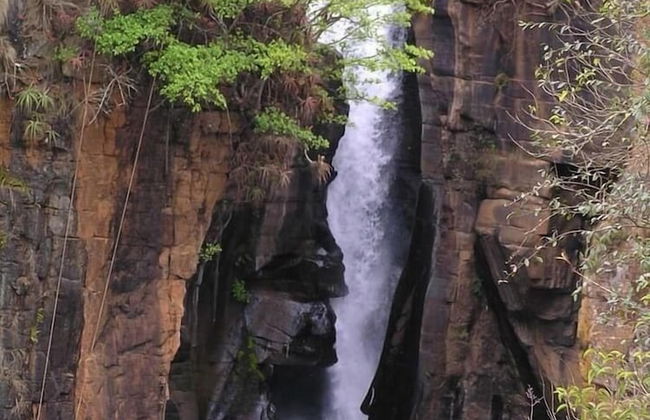 Sabie Self-Catering Apartments - Foto 63