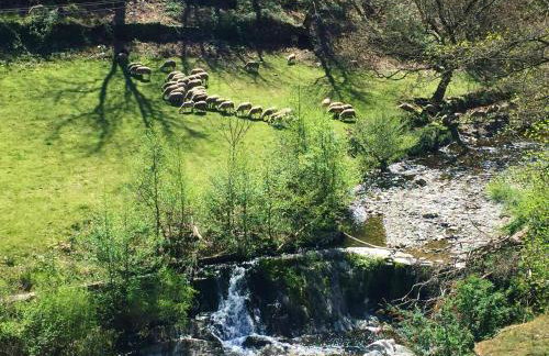 Maison spacieuse à Saint-André-de-Valborgne avec jardin 120 m² - Foto 25