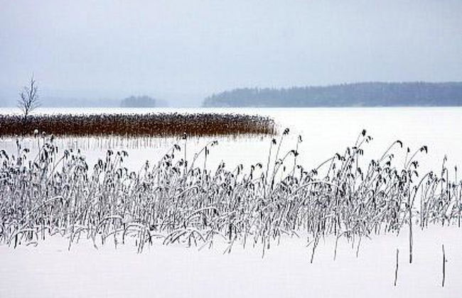 Divaanikivi - Foto 20