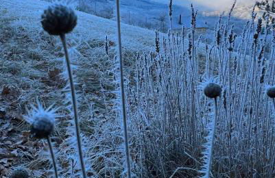 Gîte La Cerise Qui Rit - Photo 69