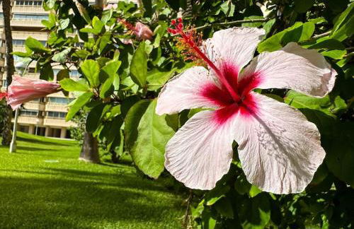 Apto. Tobago, vistas y urbanización de ensueño - Foto 43