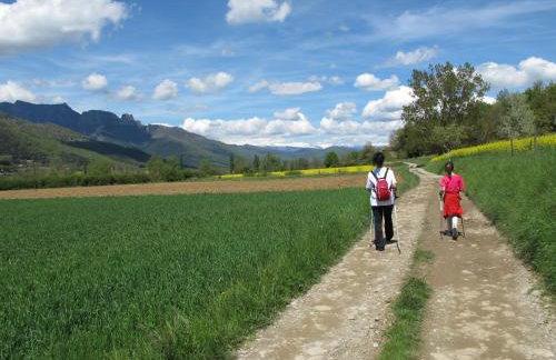 Apartment Sant Francesc - Photo 33