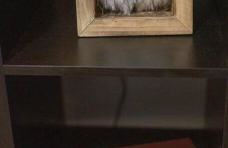 4 Rooms, Lake, Pool, Hot Tub, Bocce Ball, Putting - Foto 18