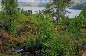 Thistle House Guest House - Foto 74