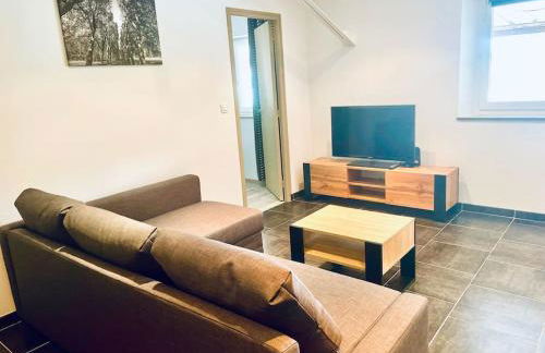 le 29 - Appartement au coeur du vignoble champenois - Foto 3