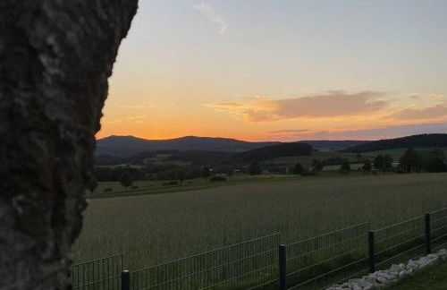 FichtelTijd Wellness Sauna Whirlpool - Foto 10