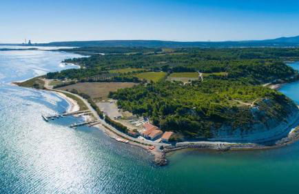 Bouddha Fleurs de Lotus - Foto 19