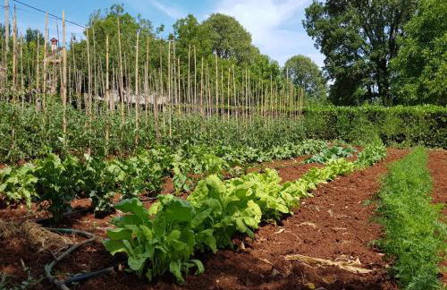 APARTMENT NORINA - Foto 27