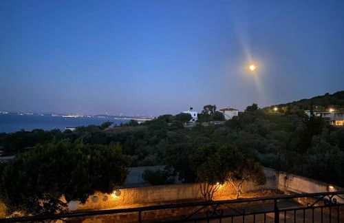 Lemon & Lavender - Photo 30