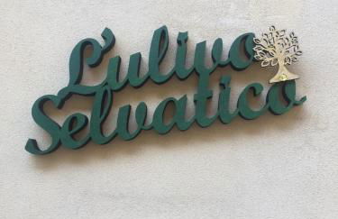 L'Ulivo Selvatico - Foto 17