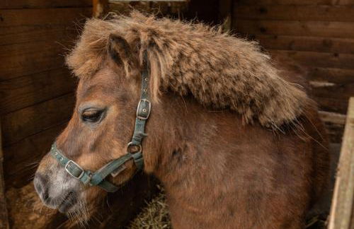 Ferienwohnung Birken Allee, 35181 - Foto 13