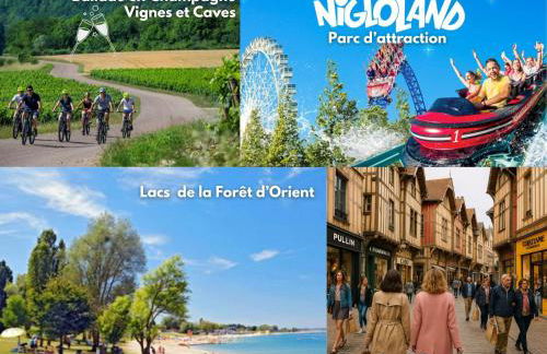 les rives champenoises - Foto 9