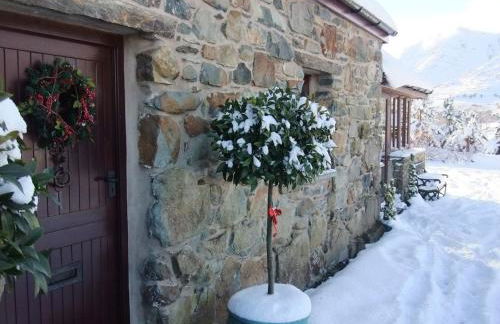 Detached cottage in the hills near Dolgellau - Foto 48