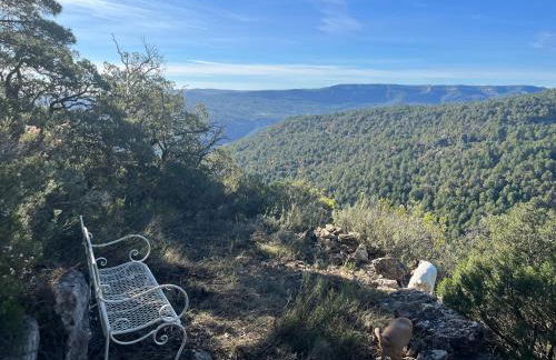 Masiadenjust - Foto 76