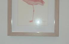 Geranio Chipionahome - Foto 9