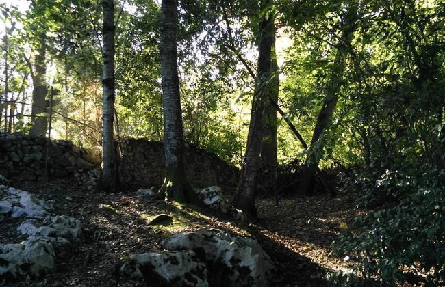 Bosque de Cuevas - Foto 50