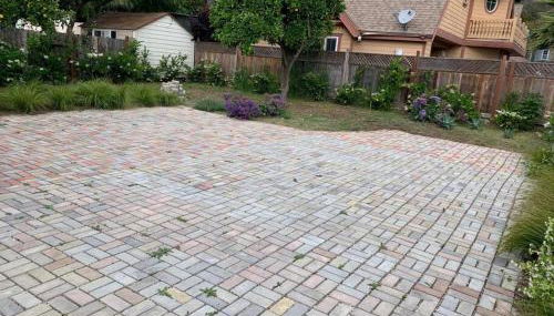 Ruth House Original Craftsman PETS, walk to State st. - Foto 5, Garden, Garden view