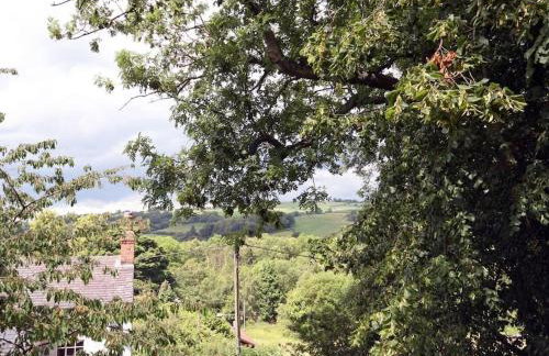 The Tree House - Foto 9