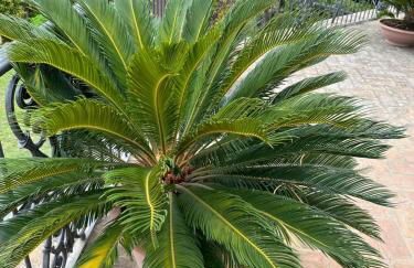 Villa Santatrada23 - Photo 34