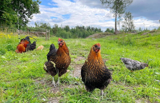 4 Star Holiday Home in Mellosa-by Traum - Foto 25