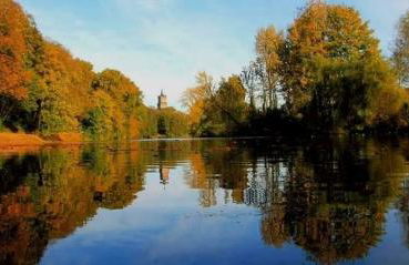 Ferienwohnung Forstblick - Foto 23