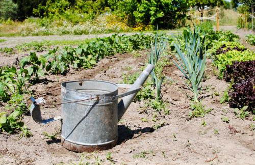 Chitaka's Organic Farmhouse in Ribatejo - Foto 20