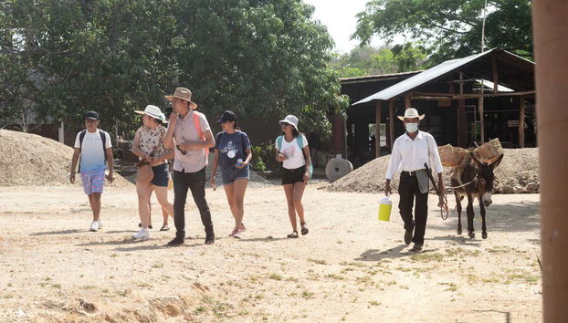 Visitando um palenque de mezcal