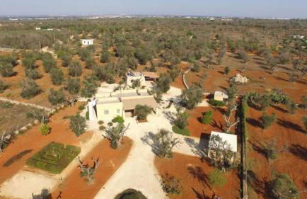 Trullo Totoli Gallipoli Salento - Foto 32