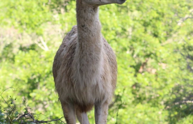 Dayboro Cottages - Photo 20