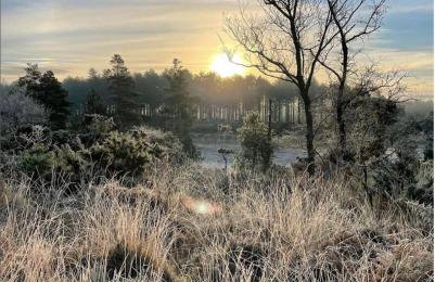 Manor House Mews - Rustic Stable Conversion - Foto 18