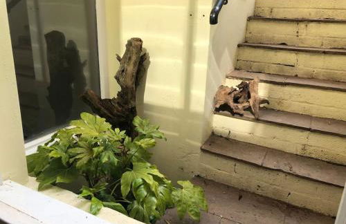 Beautiful, well positioned flat in Clifton Wood - Foto 6