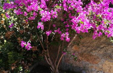 Villa Cenate - Foto 9