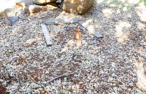 Pine Hills Cabin in Julian - Foto 22