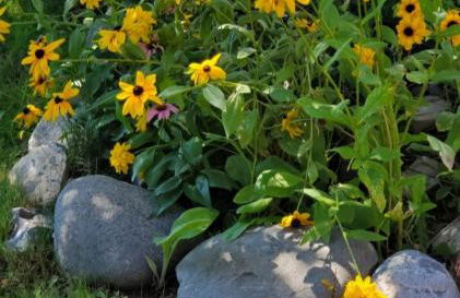 Mountain View Lodging Cody - Foto 40