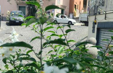 Camelia Vico Equense - Foto 37