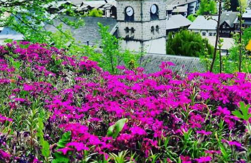 Appartement cosy au pied des pistes - Foto 18