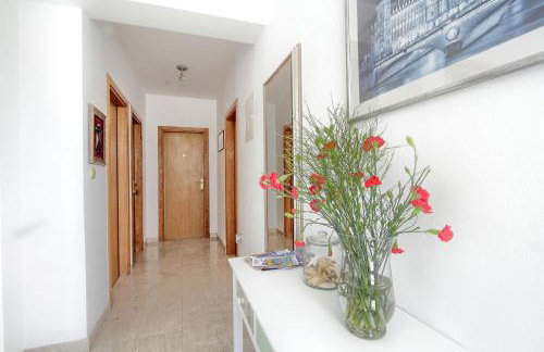 Apartments Nine Slano - Foto 16