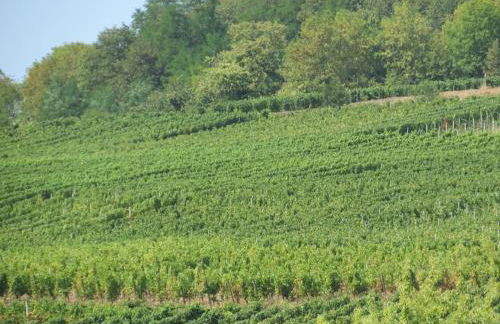 Gîte Chez Mamema - Foto 11