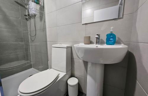 Modern Spacious Flat 10 Minutes from Big Ben - Foto 15