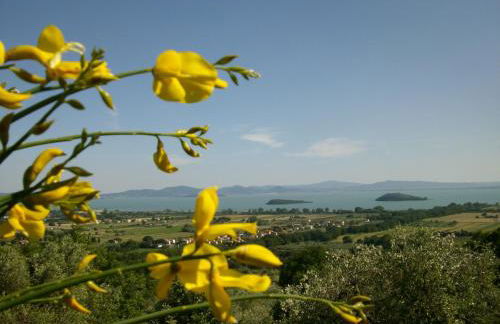 La Loggina Maxi con 2 giardini recintati privati - Foto 60