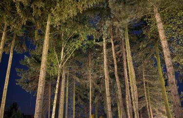 W64 Apartamenty - Foto 42