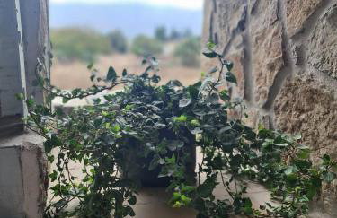 Silver House - Foto 23