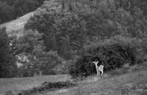 La casa sul ponte - Foto 16