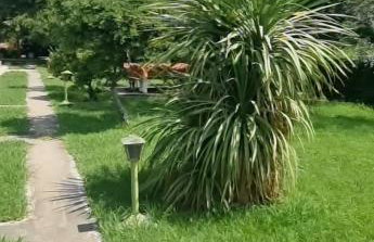 Silver Coast Cottage Raches - Foto 35